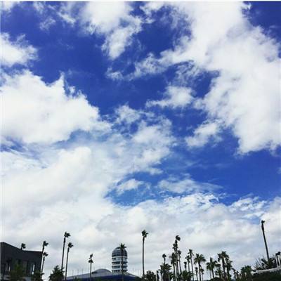 金年会娱乐app官方网站