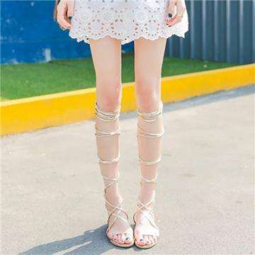 开云网kaiyun手机app下载